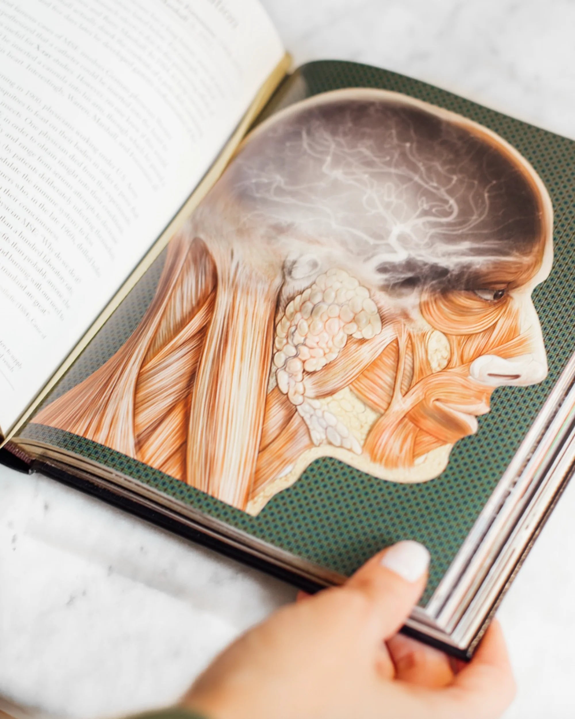 Bütünsel estetik yaklaşımını yansıtan detaylı baş ve boyun anatomisi çizim kitabı.